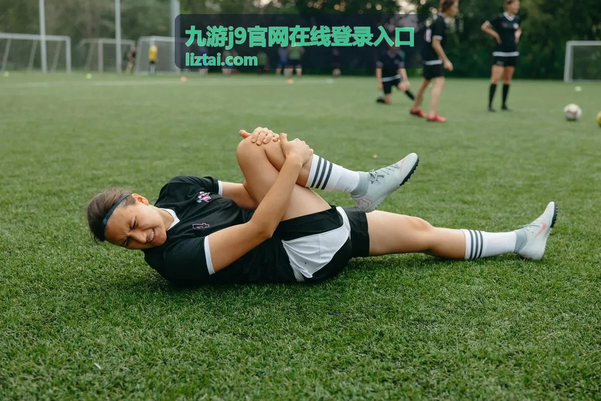 九游j9官网在线登录入口账号填写与验证步骤示意